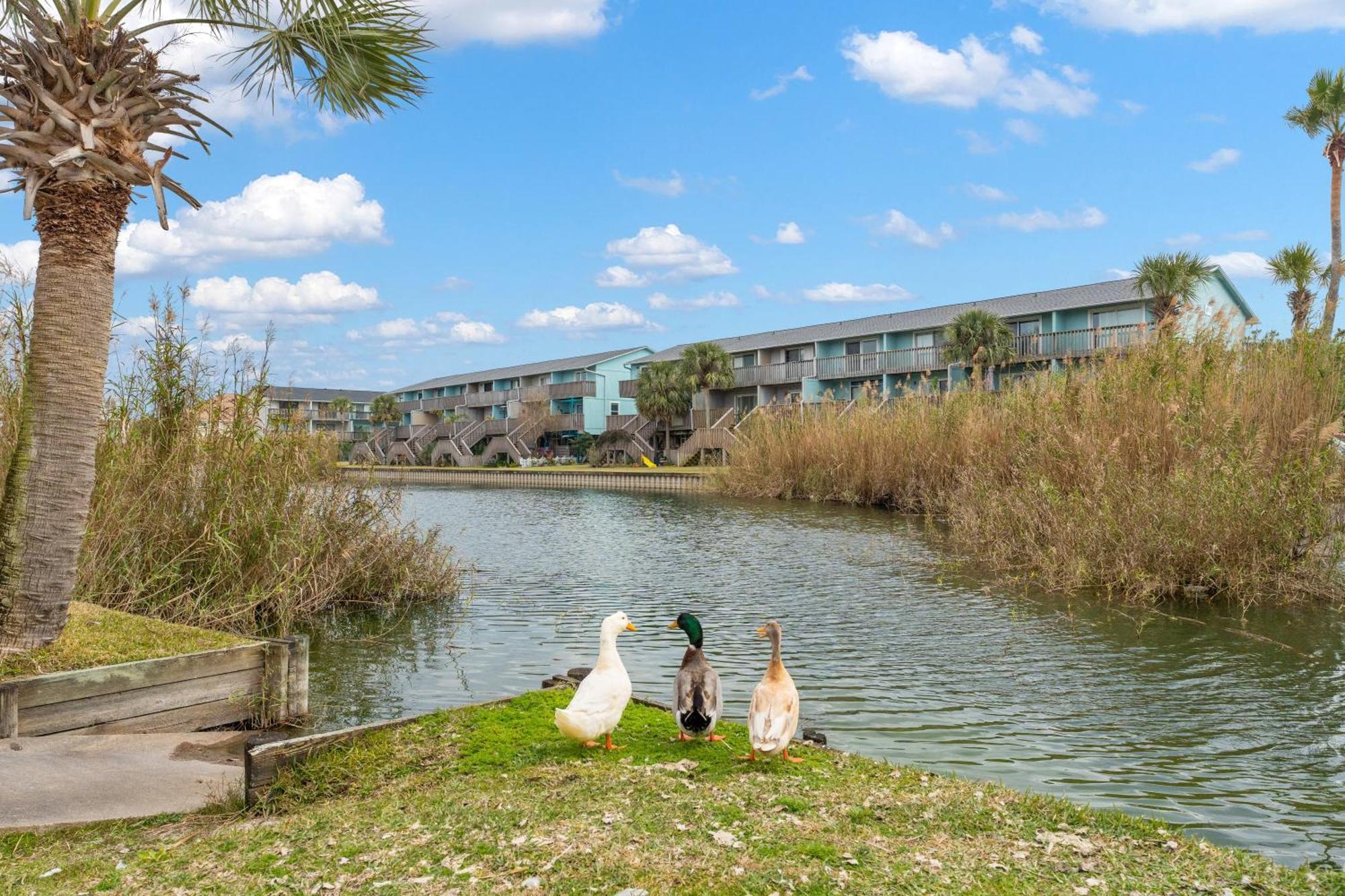 Villas On The Gulf L1- Ocean View Steps To Beach! Pensacola Beach Esterno foto